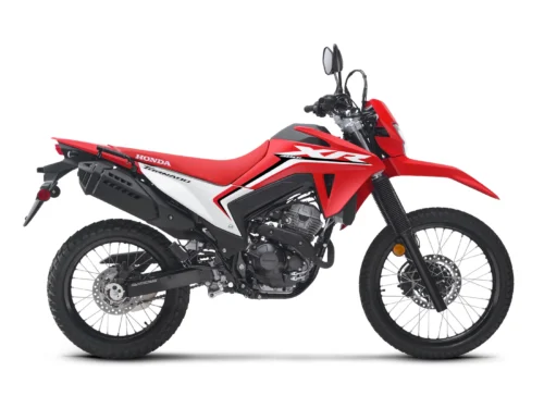 xr 300l tornado