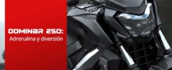 reseña dominar 250