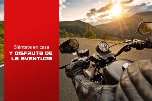 moto freedom