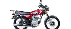 manual zs 150