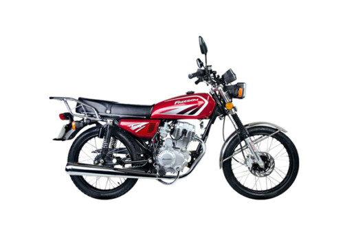 manual zs 150